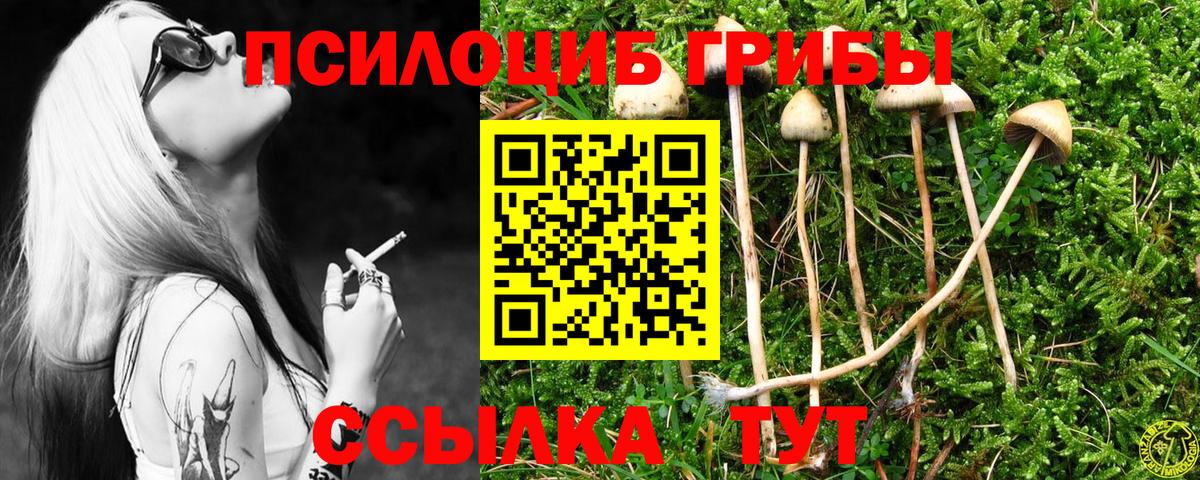Галлюциногенные грибы GOLDEN TEACHER  Вход с VPN  Гусев 